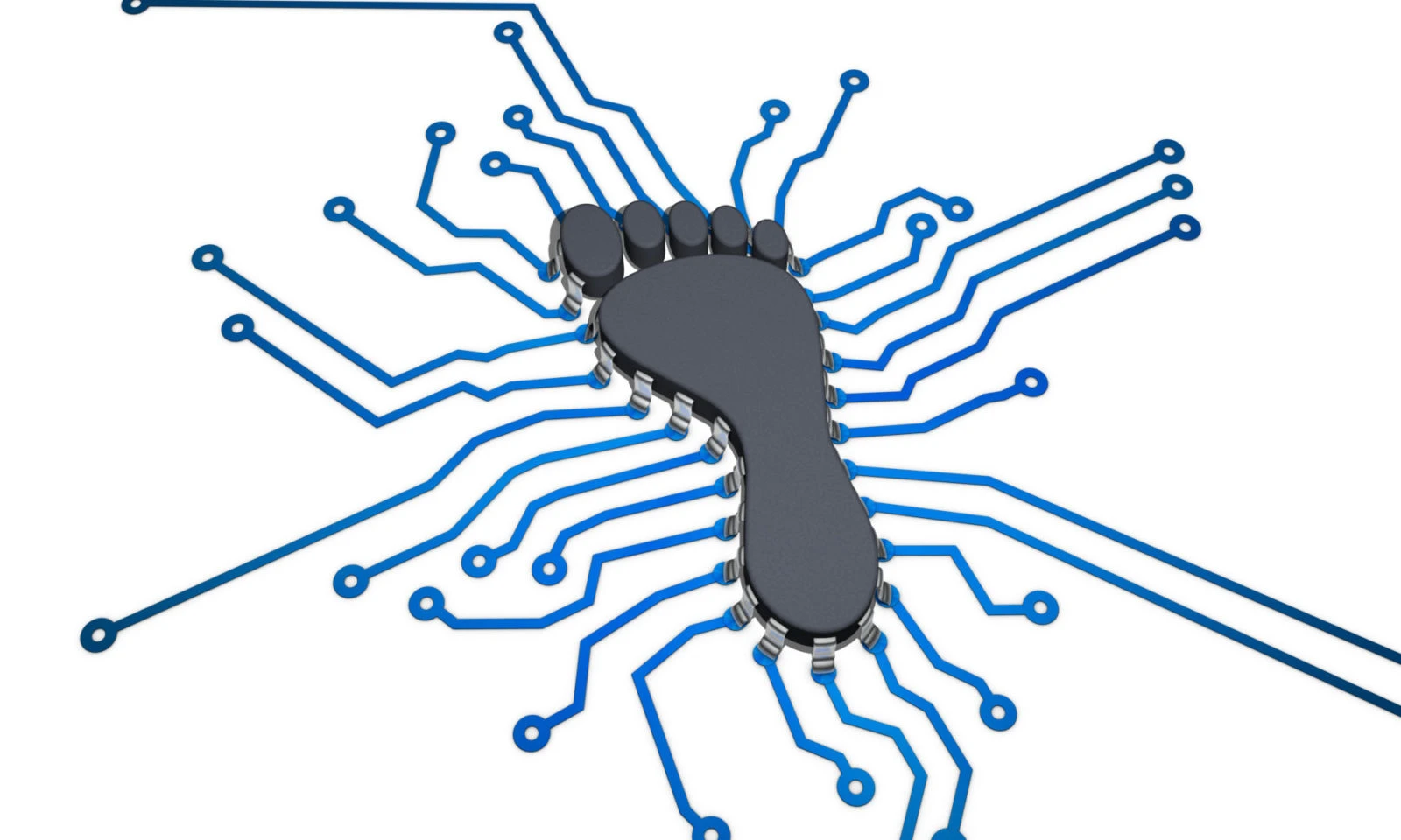 رد پای دیجیتالی